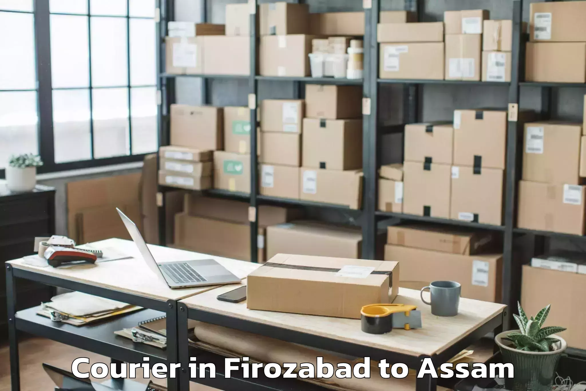 Easy Firozabad to Bokajan Courier Booking